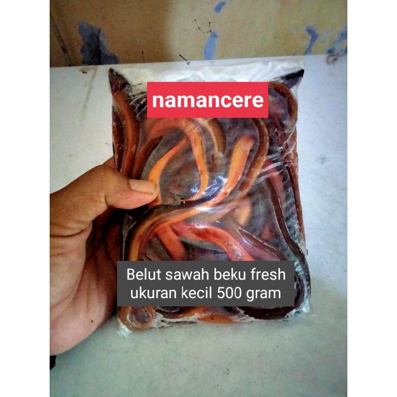 

Belut sawah beku fresh/500gr