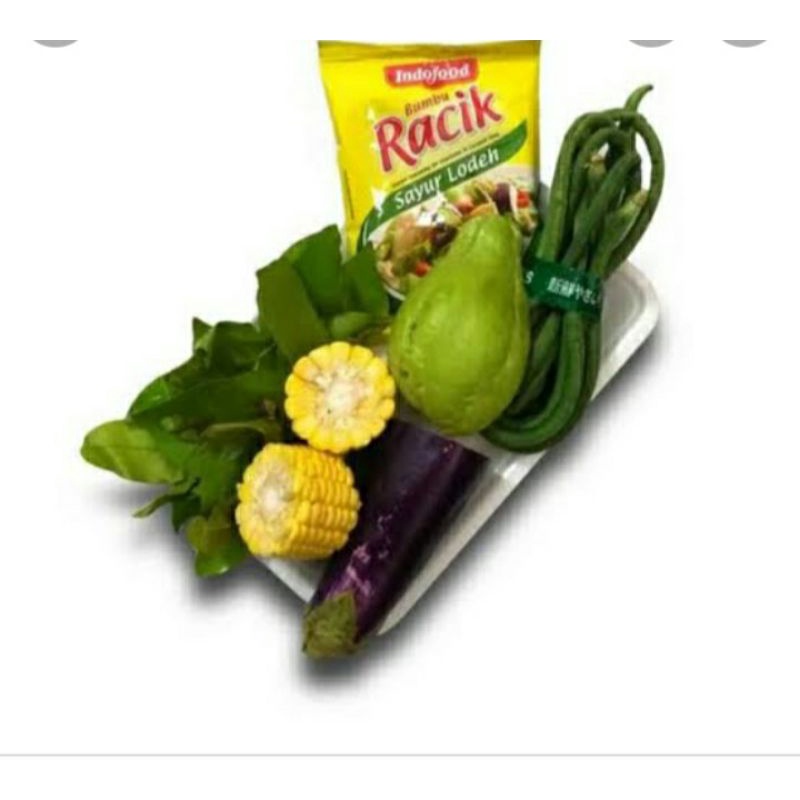 

paket sayur lodeh