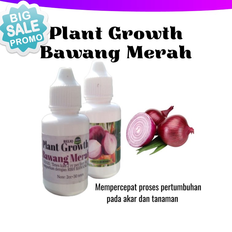 Pupuk Pembesar Umbi Bawang Merah Terbaik Plant Growth Bawang Merah Pupuk Bawang Merah Yang Bagus