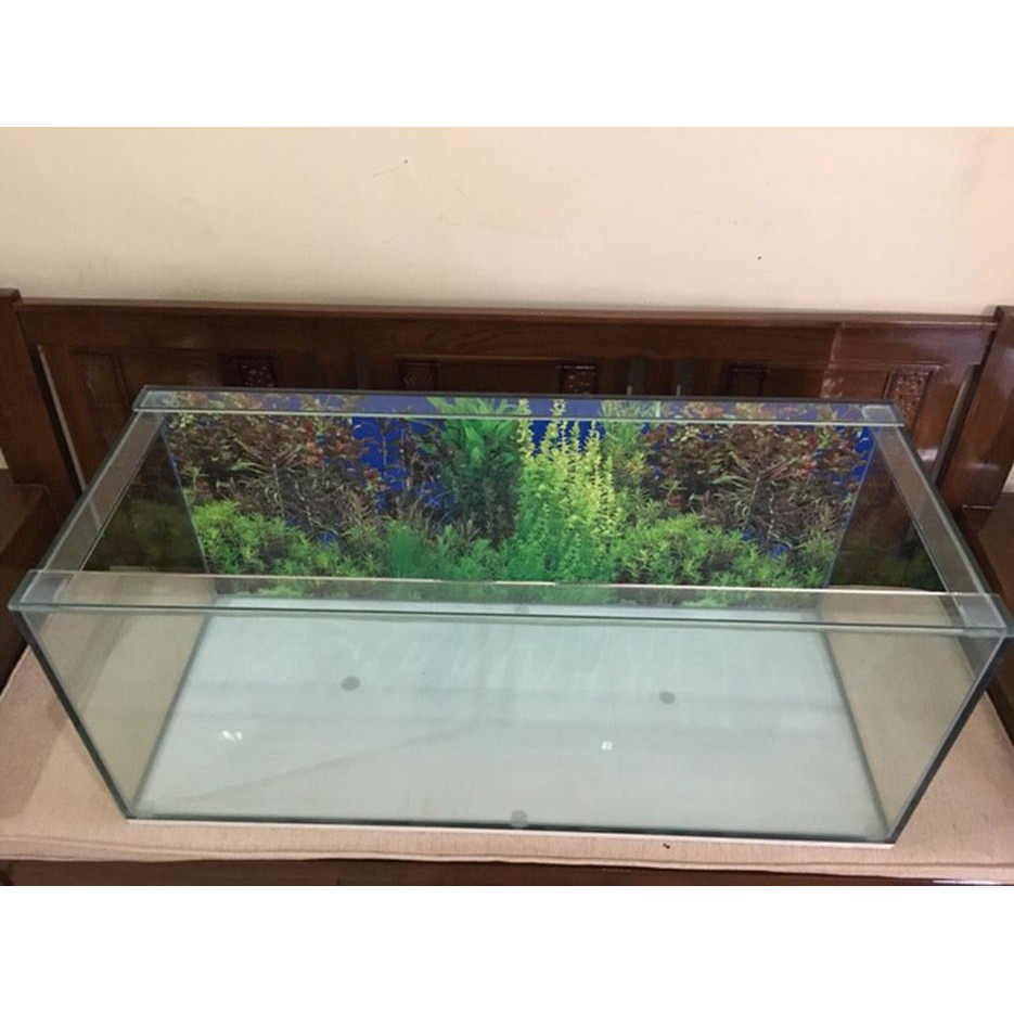 Ikan Akuarium Aquarium Custom Ukuran 150x50x50 Cm 150 X 50 X 50 10 Mm 12 Mm Perawatan Shopee Indonesia Aquarium panjang 1 meter
