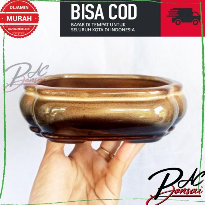 <<<<<] Pot Bonsai Keramik Small Termurah Berkualitas