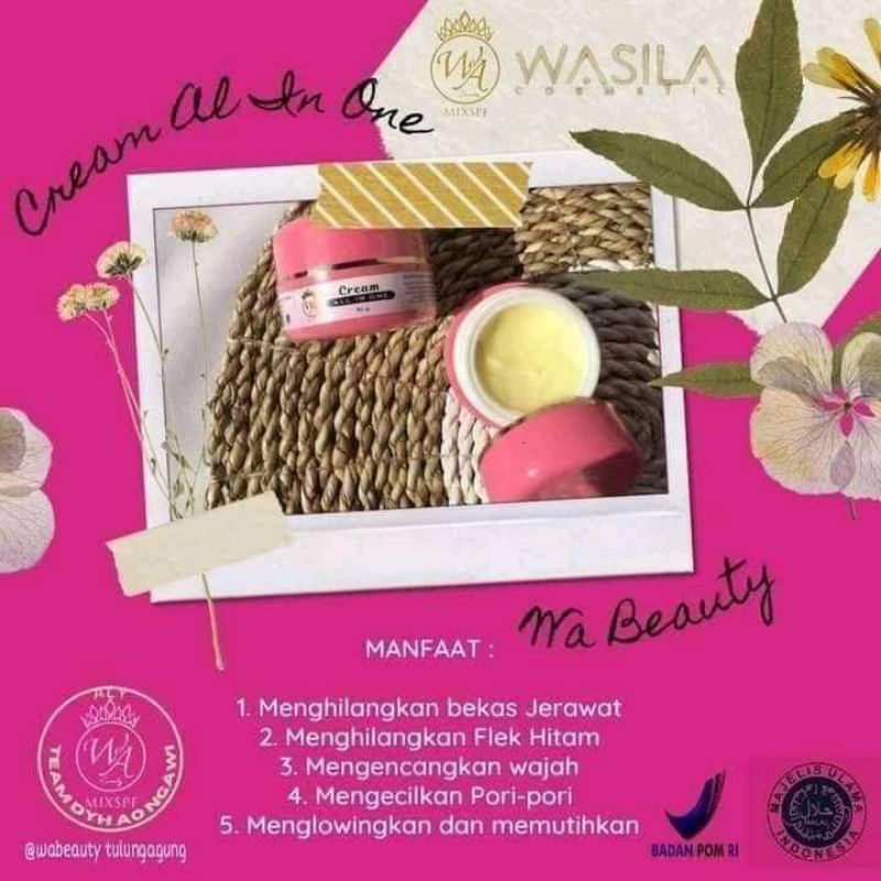 cream all on one wasila