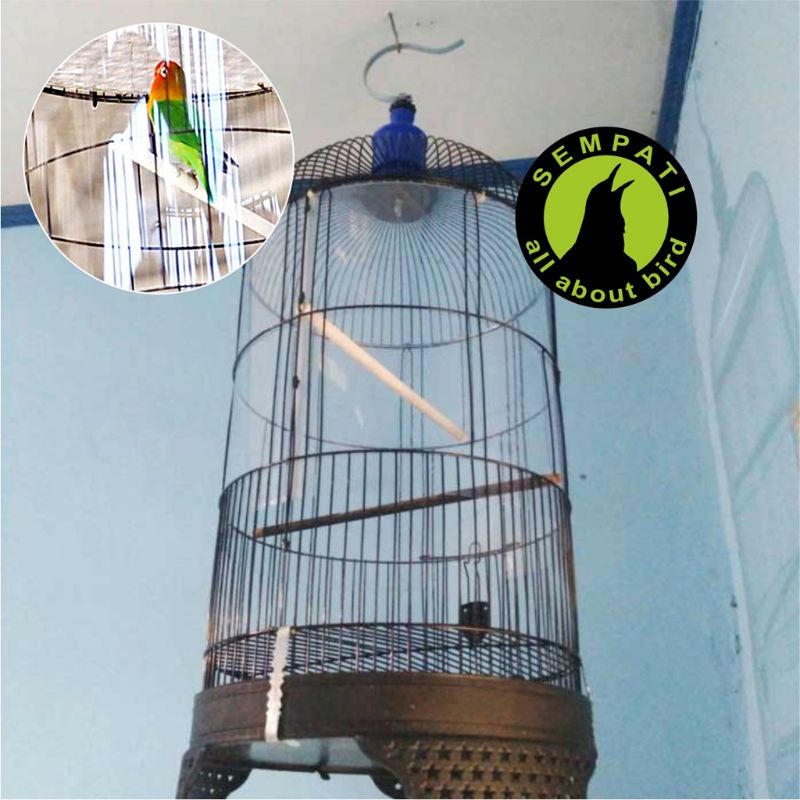 MIKA SAMPING KELILING SANGKAR 2 SAP ANTI JERUJI MIKA KELILING KANDANG LOVEBIRD
