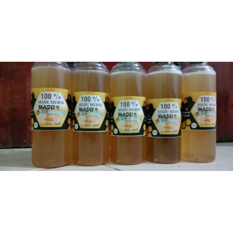 

Madu klanceng/Trigona