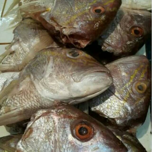 

Kepala Kakap 1 kg Frozen