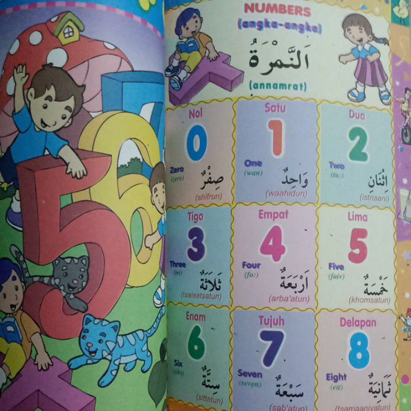 Buku Kamus 3 Bahasa Bergambar indonesia/Inggris/Arab Edisi Grammar &amp; Conversation