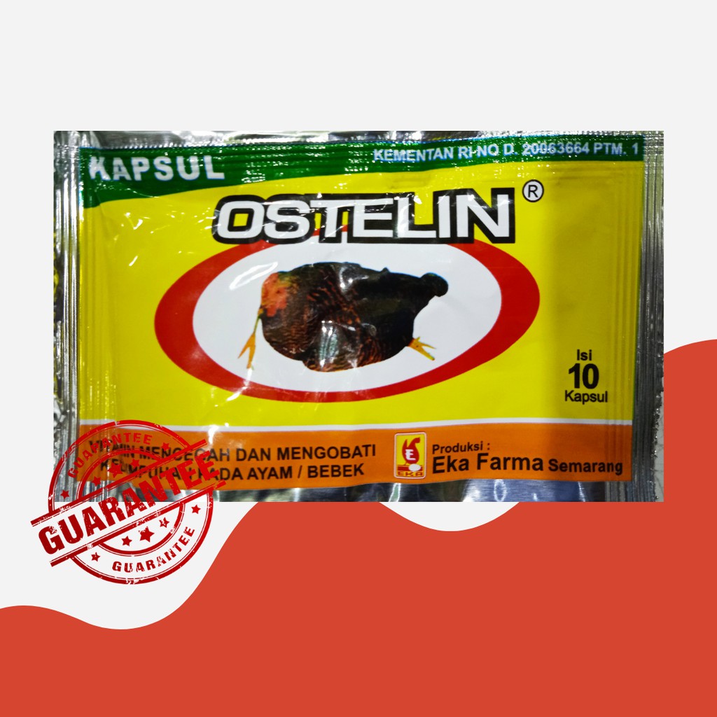 Obat Ayam | Kapsul Ostelin