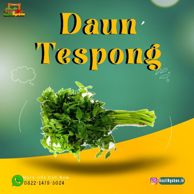 

DAUN TESPONG 1IKAT