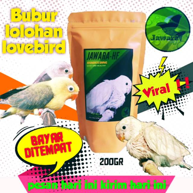 Bubur lolohan lovebird & kenari