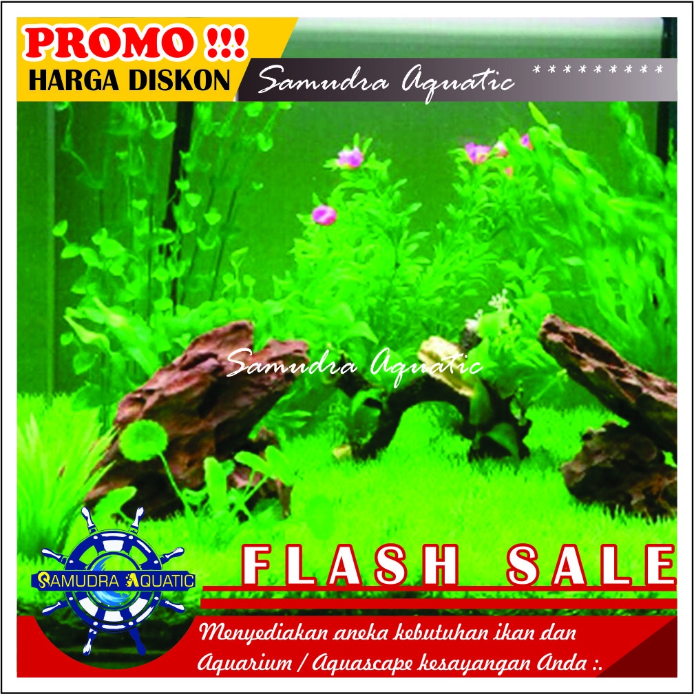 Rumput Aquarium Aquascape Sintesis (Cocok Untuk AQUARIUM KECIL), Rumput Sintesis Mainan Rumput Aquarium Aquascape