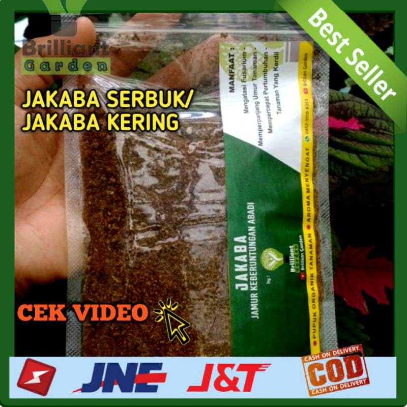 JAKABA Biang Jamur Keberuntungan abadi – Kering 50gr