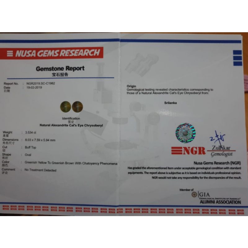 Batu Cat Eye Alexandrite 3.53 CT Natural 101