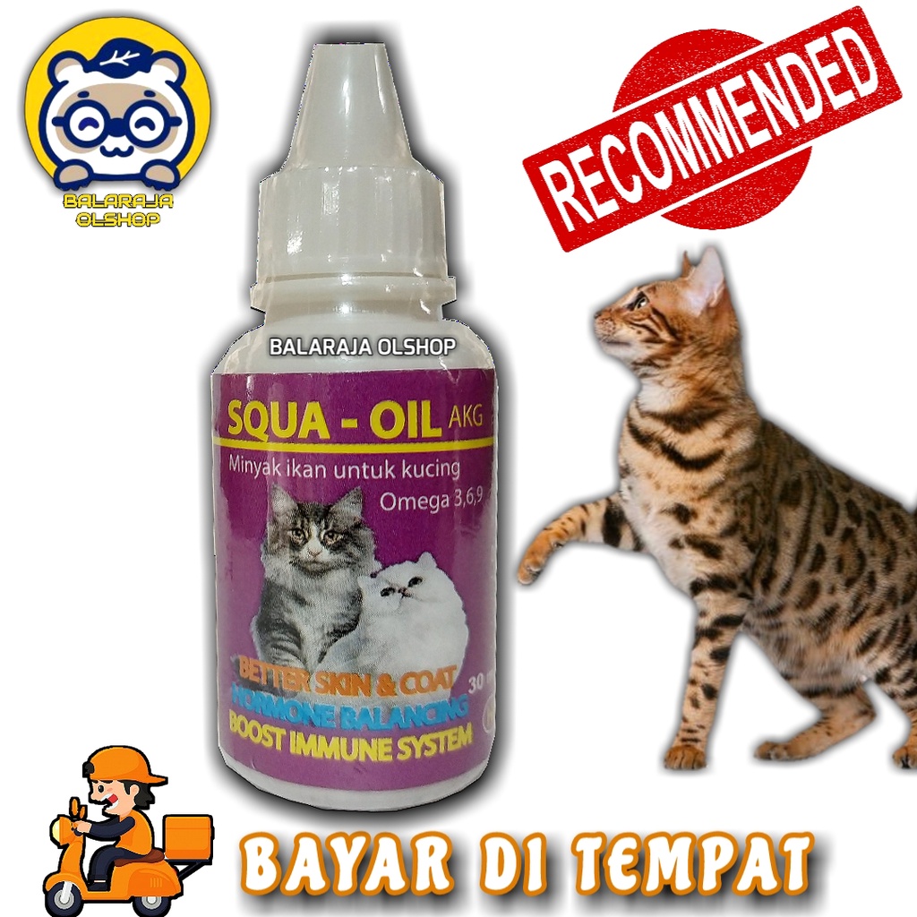 VITAMIN KUCING KITTEN PENAMBAH NAFSU MAKAN DAN PENUMBUH BULU MINYAK IKAN SQUA OIL