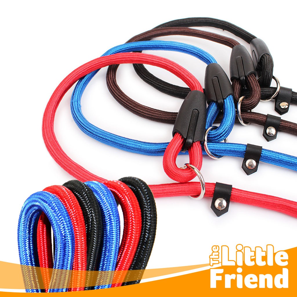 Tali Kalung Tuntun Cesar Milan Leash Nylon Hewan Peliharaan Pet Dog/Anjing Show Style