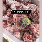 

IGA GONDRONG HANYA UNTUK BANDARLAMPUNG SAJA