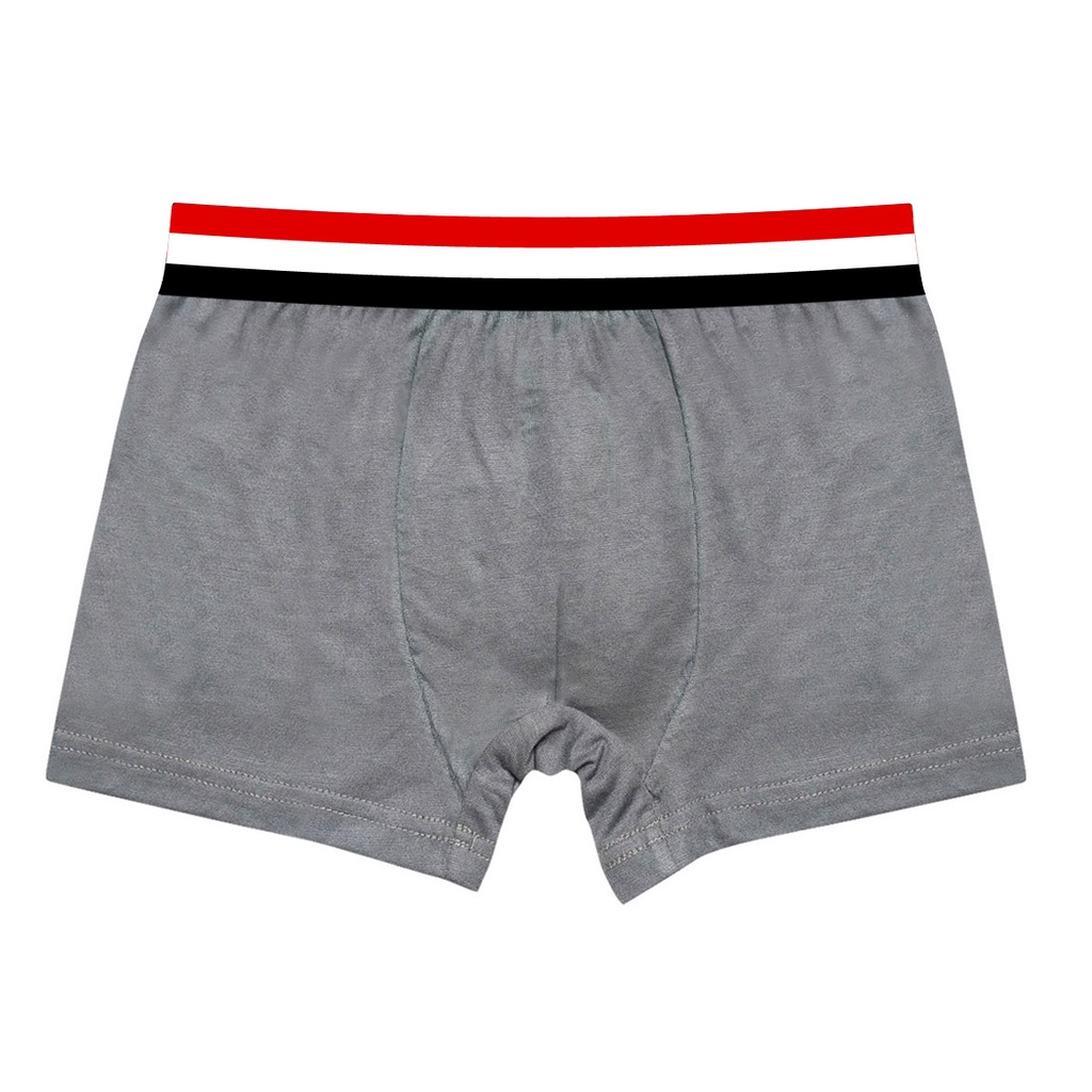 Celana Dalam Boxer Sport Anak Laki-Laki Ban Pinggang Karet Lebar Bahan Rayon Spandex Premium Kualitas Import Usia 1 Tahun Sampai Anak Tanggung Golden1978