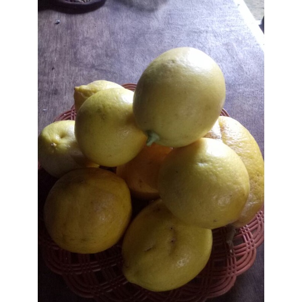 

Buah Lemon California 1kg segar