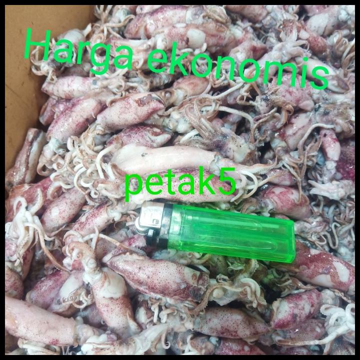 

cumi asin grosir 10kg sedang
