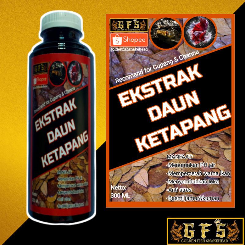 Ekstrak Ketapang Setan Super Pekat Original GFS 250ml