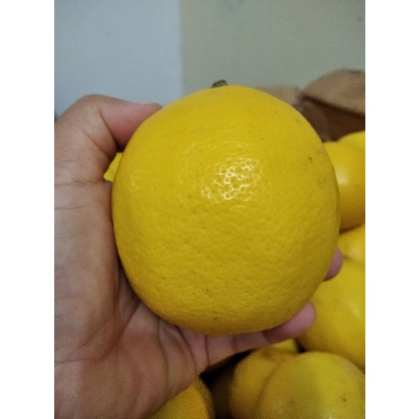 

Lemon California Super