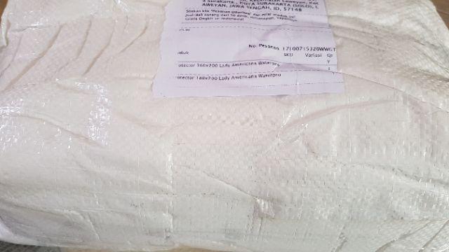 Matras Protector 180x200 Lady Americana Waterproof