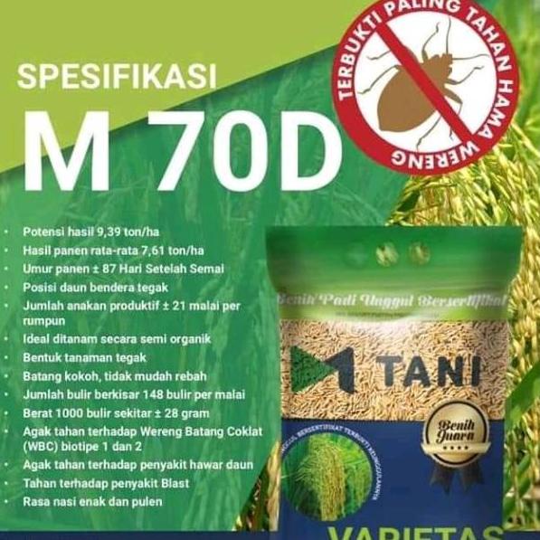 [KODE JZJ] Bibit padi m70d m70 asli m tani