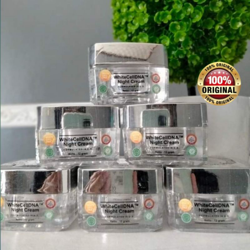 ECERAN NIGHT CREAM MS GLOW ORI BERKODE RESMI ALL NIGHT CREAM MS GLOW ORIGINAL / WHITENING NIGHT CREA