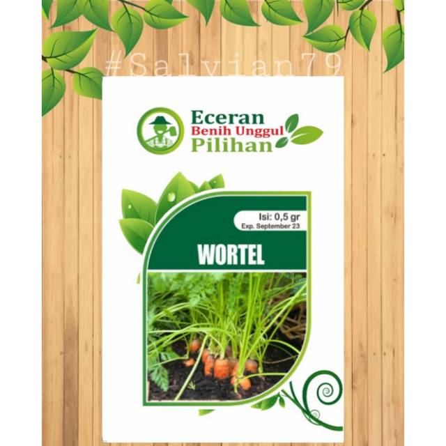 Benih wortel