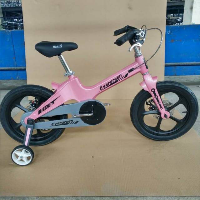 Sepeda anak BMX 16 Evergreen Magnesium