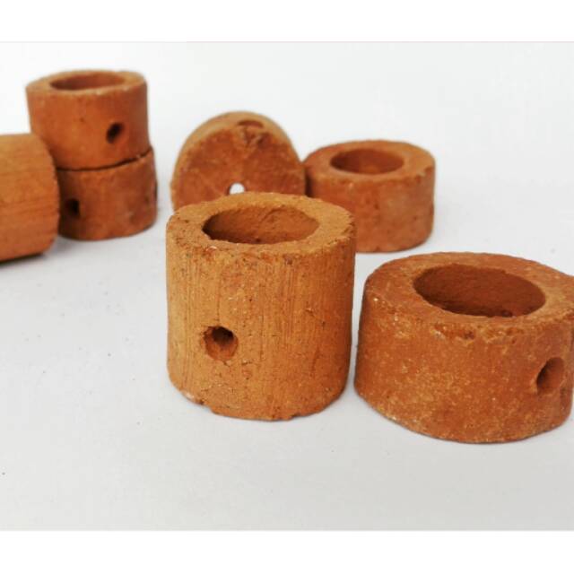 Pot stem pot tanaman aquarium pot aquscape