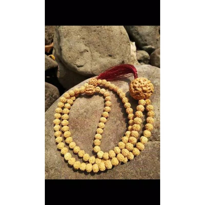 tasbih jenitri rudraksha original 99 butir bandul besar