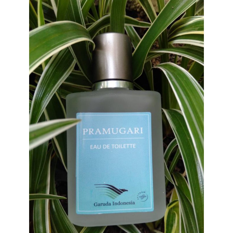 parfum pramugari garuda