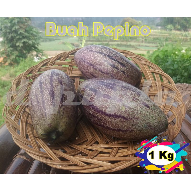 

Buah Pepino/Buah Put/Buah Penurun Darah Tinggi