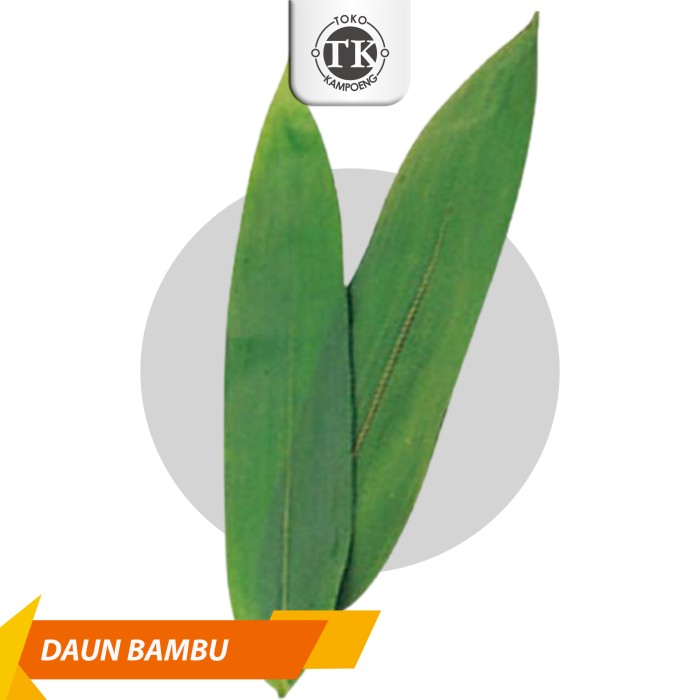 

DAUN BAMBU PILIHAN UNTUK BUNGKUS BACANG DAN OBAT HERBAL 10 lembar