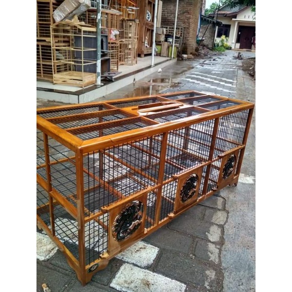 dongdang merpati 6 pintu jumbo