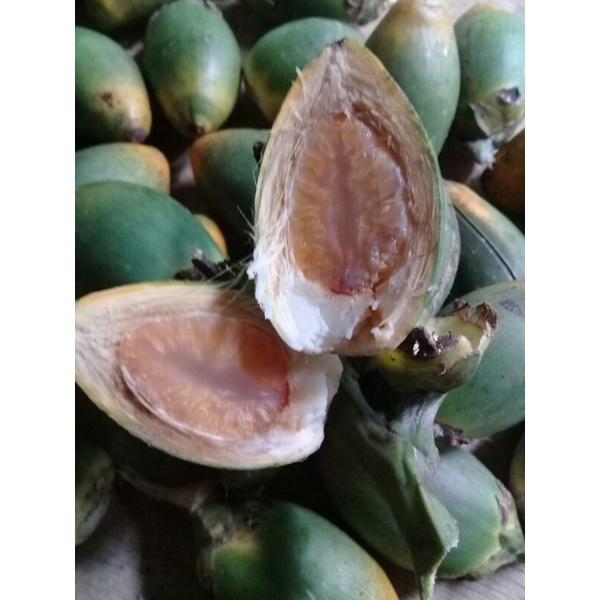 

Buah pinang atau jambe muda segar 1kg