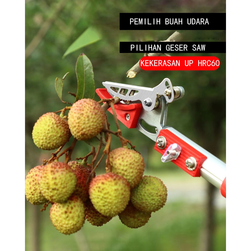 4m Gunting pemetik buah tinggi pemetik buah, gunting pangkas