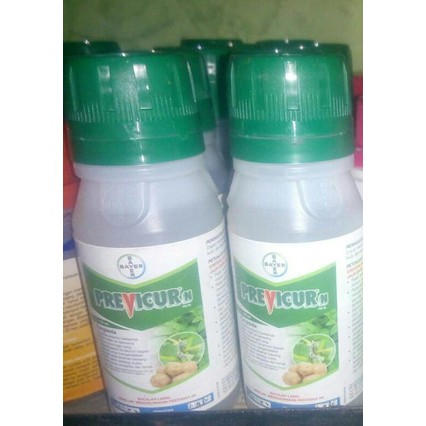 Fungisida Previcur N 722SL 100ml