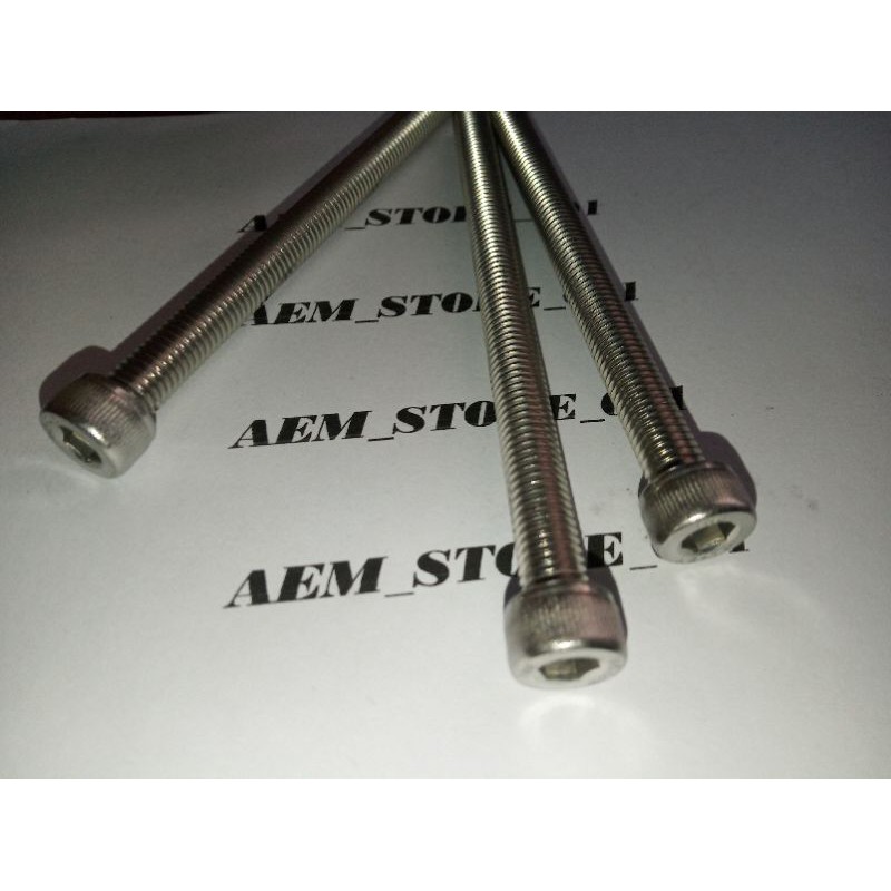 baut L M8 X 110 (11cm) stainless 304 THE A2-70