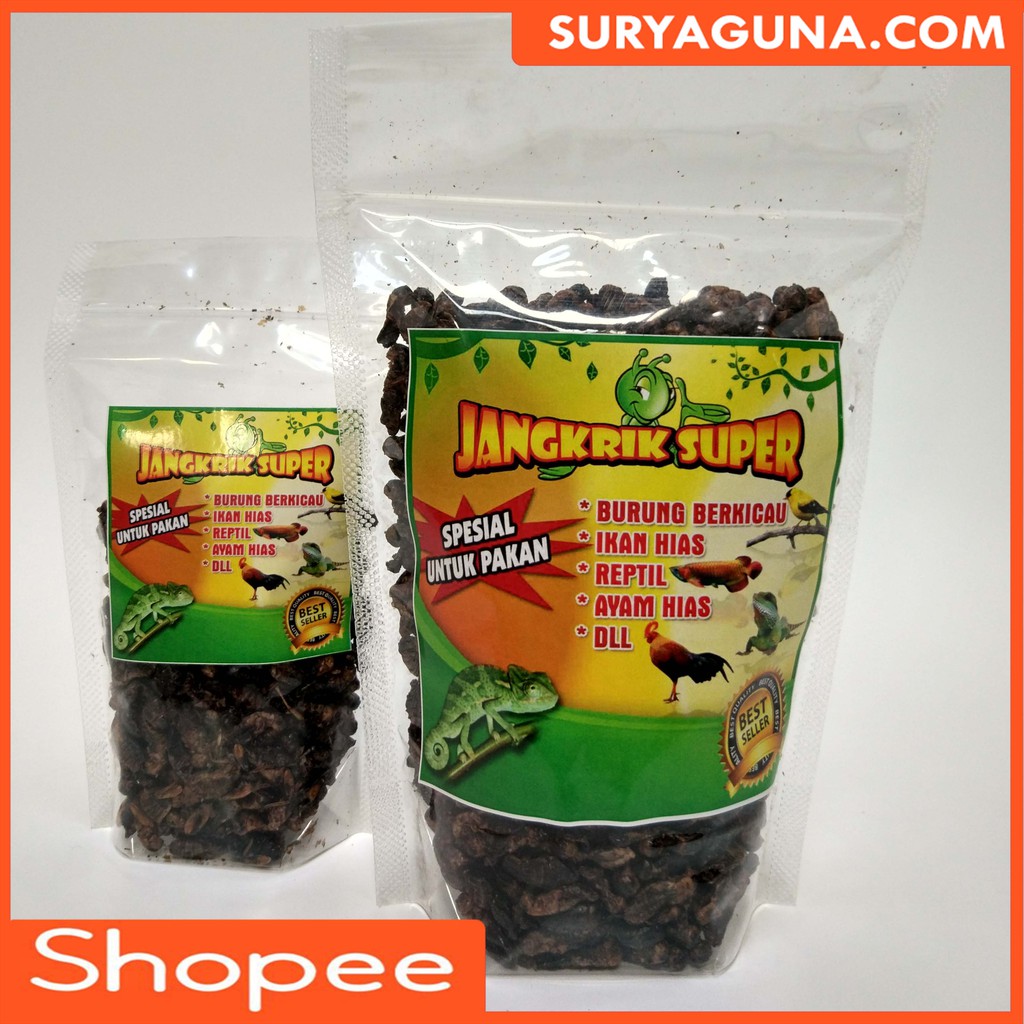 Jangkrik Kering 100 Gram Jangkrik Kering Untuk Pakan Ikan Arwana
