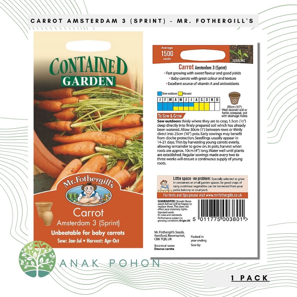 (1 PACK) Benih Carrot Amsterdam 3 (Sprint) Seeds - Mr. Fothergill's - 1500 Biji