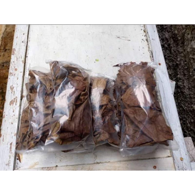 

daun ketapang olahan berkualitas