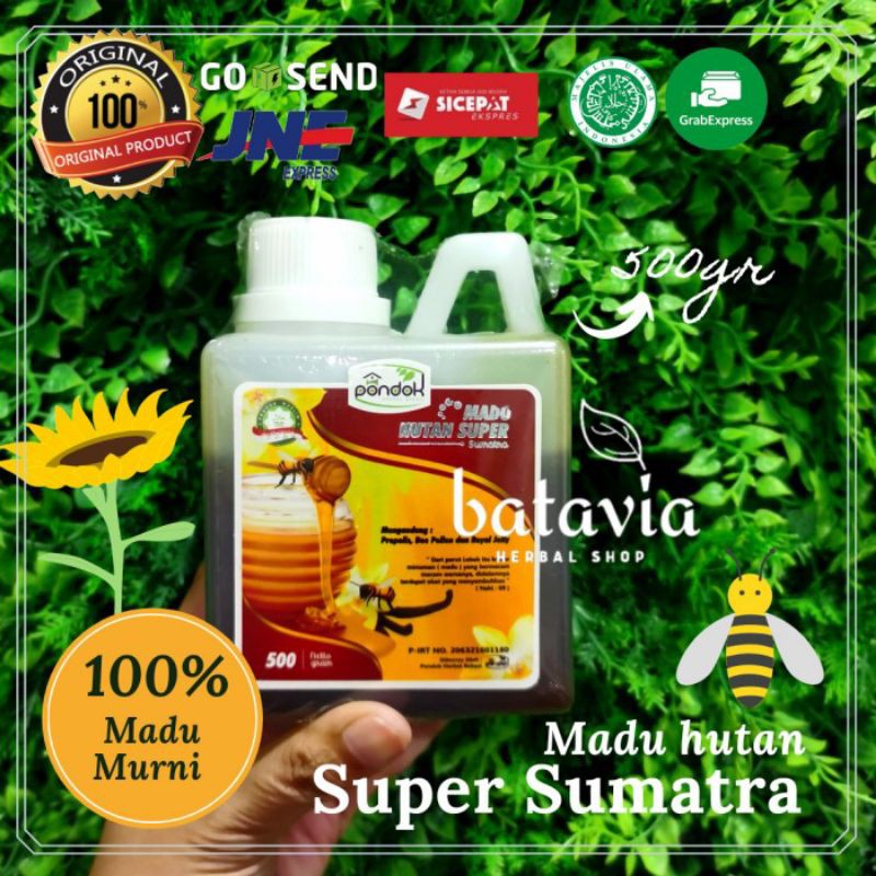 

TERMURAH madu murni asli 100% 500gr madu hutan sumatra sialang - 500gr