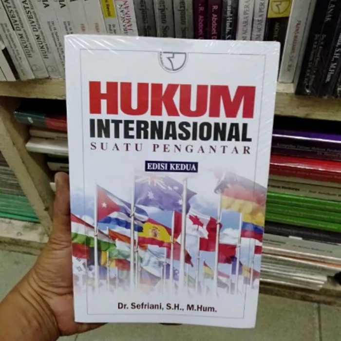 HUKUM INTERNASIONAL SEFRIANI