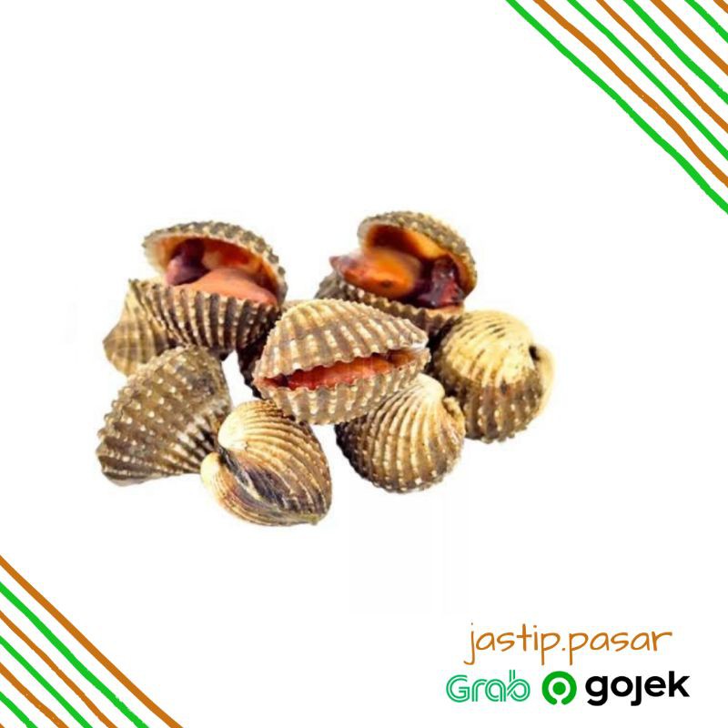 

Kerang Darah 1kg | Ikan Segar Fresh | Jastip.pasarsby