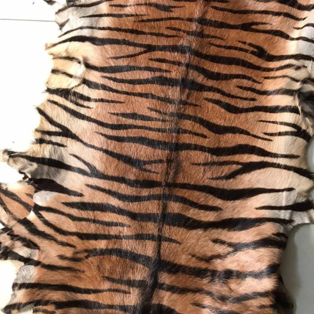Kulit kambing motif harimau macan Tiger