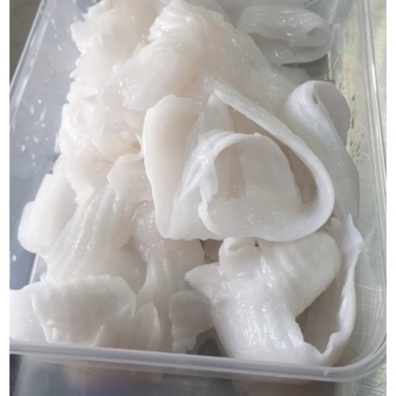 

Daging Kelapa Muda Asli Beku Grade A 1kg Coconut Station