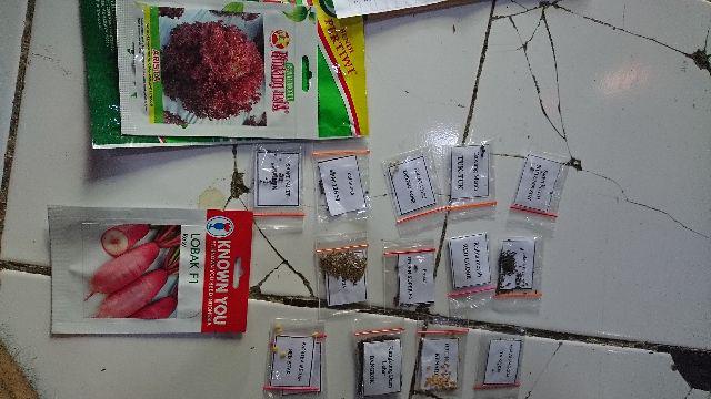 Repack Benih Murah- Benih Bibit Biji Terung Lalap Kenari (200btr)