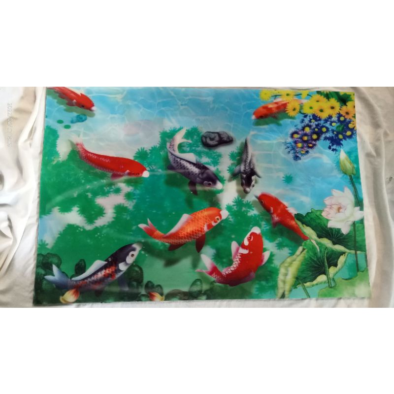 POSTER 3 DIMENSI MOTIF IKAN KOI DLL 38x58cm dll