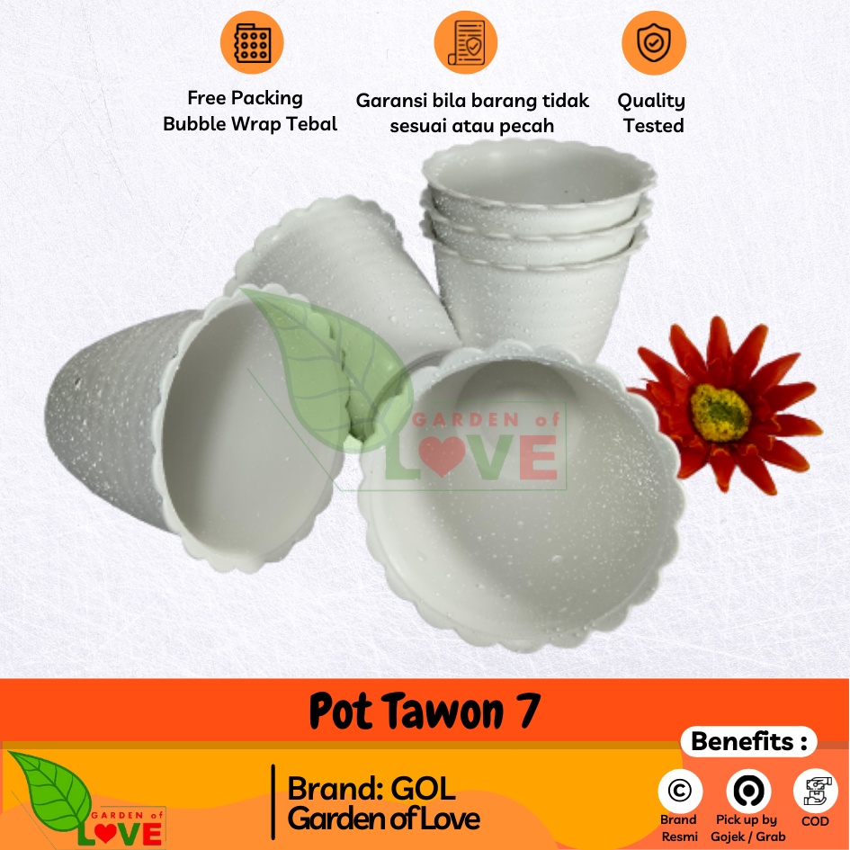 Lusinan Pot Tawon 7 Putih 7.5 Cm By Garden Of Love Pot Bunga Plastik Mini Lucu Vas Bunga Kaktus Kecil Pot Persegi Mini | Pot Impor | Pot Kaktus / Cactus | Pot Sukulen / Succulent